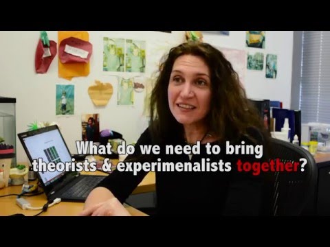 Arianna Maffei (#theoryMatters interview #12)