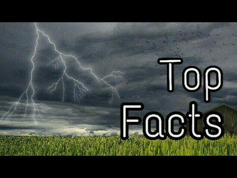 Top Facts About Lightning To Blow Your Mind ⚡⛈⚡