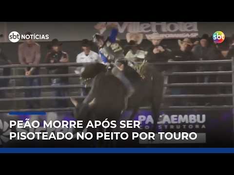 Peão é pisoteado por touro em rodeio e morre após cair na arena em SP