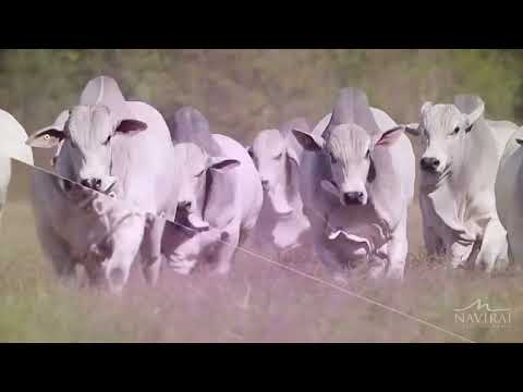 O futuro a gente faz agora! 🤝🙌🏻