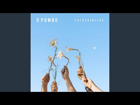 Perversa - O Pombo