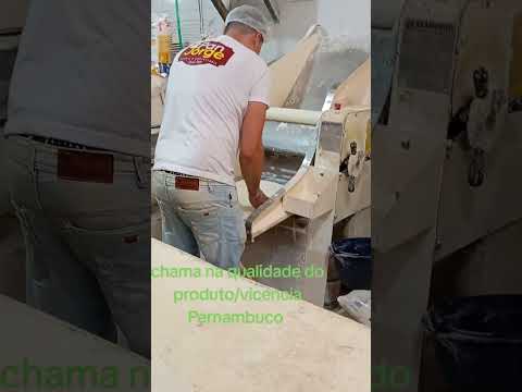 vicencia Pernambuco Brasil