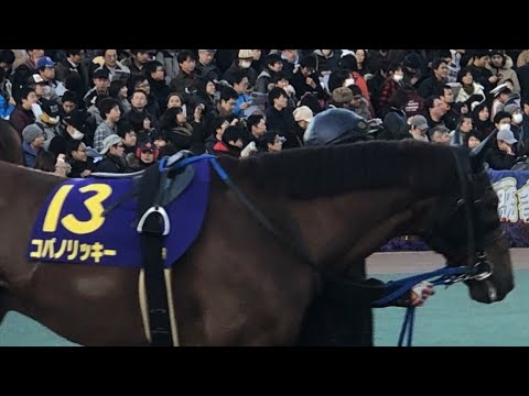 [東京大賞典2017]パドック①：コバノリッキー引退レース
