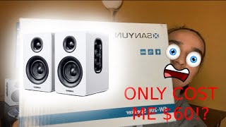 Sanyun SW 208 Speakers AMAZON FIND!!