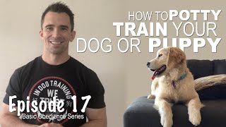 Everything you Need to Know to EASILY Potty Train Your Dog or Puppy! Episode 17