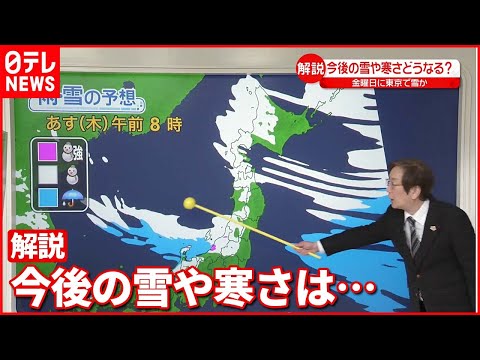 いつ冬のベールをかぶるかを知ることがなぜ重要なのでしょうか?効果はあるのでしょうか？  庭園
