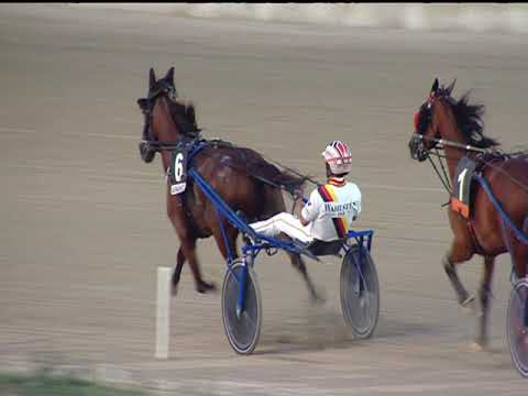 Trotto 21/09/2019 - 9ª corsa