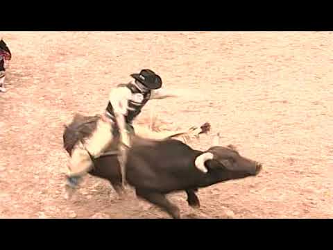 Jody Newberry vs Red Alert - 05 PBR Finals (90.25 pts)