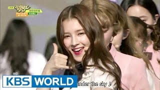 MOMOLAND with DIA - Wonderful Love | 모모랜드 with 다이아 - 어마어마해 [Music Bank / 2017.05.19]