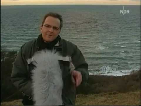 Foto im Nordmagazin - 23.01.2005 - en0012