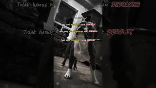Download lagu Story keren bosku dari 🐕@EmRuudstory #storywa #motivation #quotes #animals #katakatabijak #shorts mp3