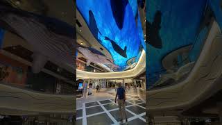 Experience the magic of MSC World Europa’s World Galleria 🐋✨
