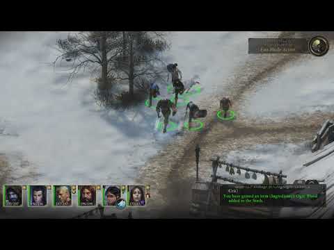 Pillars of Eternity: The White March Part I Xbox One Intro + Gameplay [No Commentary]