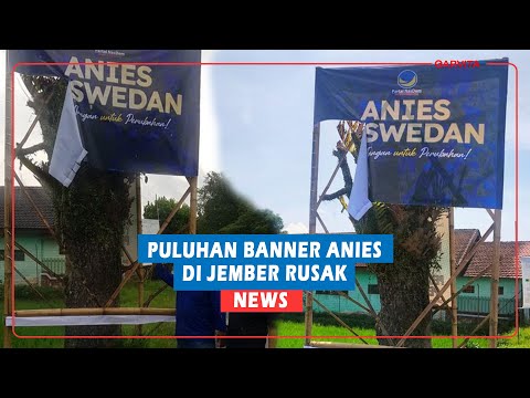 POLITIK !! Puluhan Banner Anies Dirusak, NasDem Jember Lapor Polisi