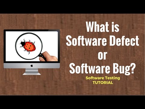 What is Software Defect or Software Bug Software Testing Tutorial 22