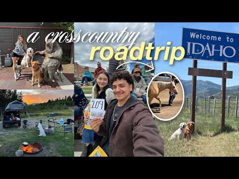 our 6 day road trip to northern Wyoming *with 2 dogs* | car camping 🏕️