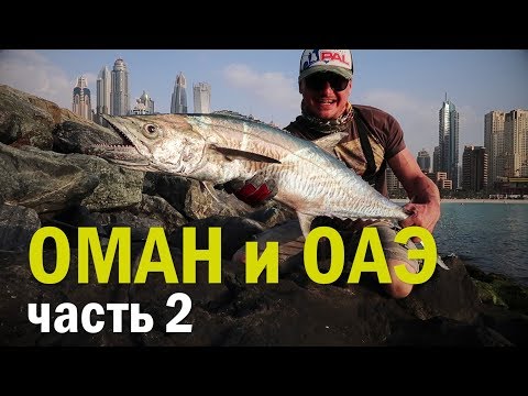 CNS-774MH Allround Tactics 12-40 грамм
