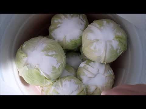 Zimnica – Kako kiselim kupus | Najbolji recept za domaći kiseli kupus