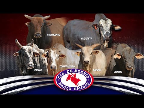 ATLETAS de PULOS da Cia PAULO EMÍLIO | SEBASTIANÓPOLIS DO SUL-SP 2023