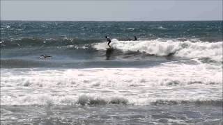 Surfing in Israel - Alter Bridge soundtrack