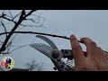Pruning The Plum Tree Stanley