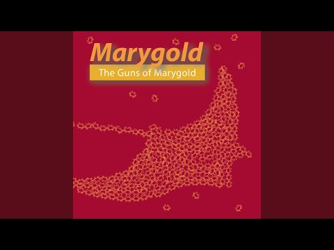 Marygold