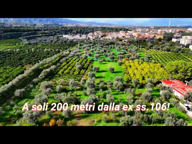 VENDESI TERRENO AGRICOLO PIANEGGIANTE CON DOPPIO ACCESSO – Rif. 2298