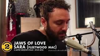 Jaws Of Love - Sara (Fleetwood Mac cover) | 2 Meter Session #1643