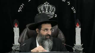 הלכות שבת - רנא' - דין התקלקל העירוב, קניין ושיתוף | אורח חיים - שסח - שע | חלק 665 | הרב שי עובד (הרב שי עובד) - התמונה מוצגת ישירות מתוך אתר האינטרנט יוטיוב. זכויות היוצרים בתמונה שייכות ליוצרה. קישור קרדיט למקור התוכן נמצא בתוך דף הסרטון