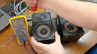 Video thumbnail for Realistic Minimus 7 Speakers. How to test THRIFT STORE speakers. by breakerbroke23