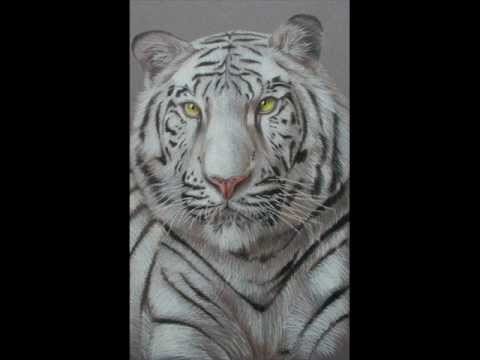 Tim Janssens - Kilrathi Chase (Wing Commander Saga OST)