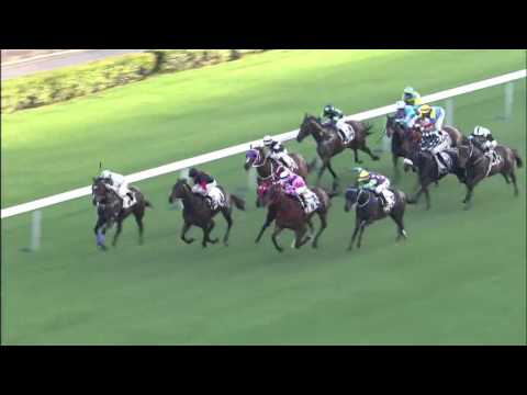 Invincible Fresh - Karis Teetan (8 November)