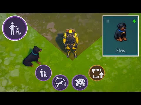 I Got a " True Friend " Dog Rottweiler From Puppy Level 3! Last Day On Earth Survival