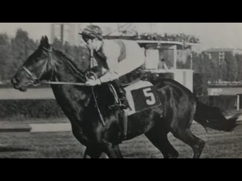 Pillole di ippica - La Scuderia Metauro degli Aloisi