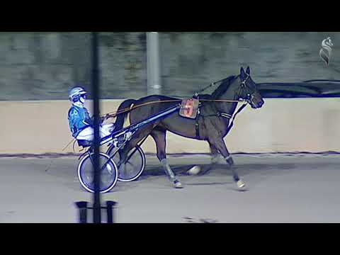 Aversa trotto 7 Novembre 2020 - 7° Corsa