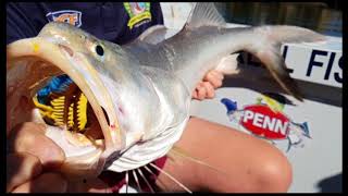 preview picture of video 'Reel Fishing CQ Fitzroy River King Threadfin'