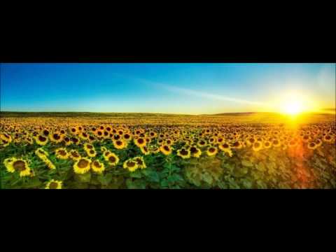 Sunray - Summertastic (Radio Mix) vs Turnyboy