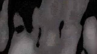 Converge - First Light / Last Light