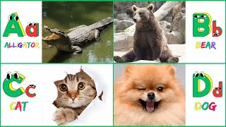 Learn ABC and Letter Sounds for Kids | Fun Educational Alphabet Song