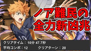 【新凶兆】日向影山～新兆龍周回用PT～【パズドラ実況】