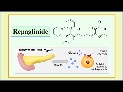 Repaglinide 0.5 Mg Tablets