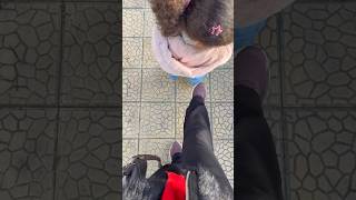 Download lagu We'll kick anyone who gets in our way, pure and simple 😂 #Don'tForgetToSubscribe #DiscoverMe #Fun... mp3