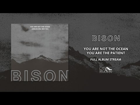 BISON - You Are Not The Ocean You Are The Patient (Full Album)