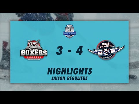 Boxers de Bordeaux 3-4 Ducs d'Angers - Highlights - Synerglace Ligue Magnus 2022/23