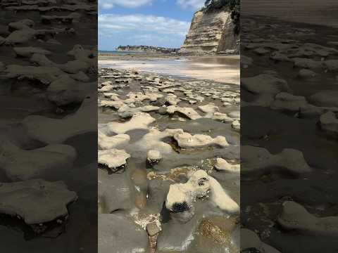 ඇටසැකිලි වගේ ගල් තියෙන හැටි🧐🤩the skeleton rocks on the beach 😐 #shorts #srilanka #beach