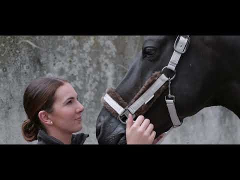 ESKADRON Platinum Edition 2020/2021