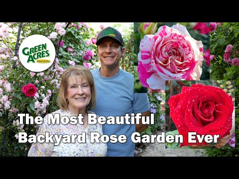 Inside a Master Rosarian's 300+ Rose Garden - Full Tour