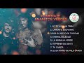 GRANDES EXITOS DE ENANITOS VERDES Homenaje Marciano Cantero