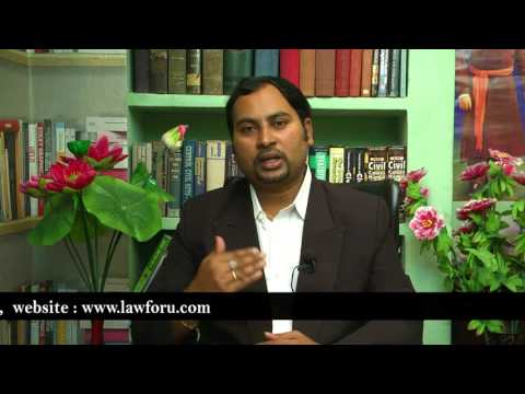 Human Rights Violation Cases Legal Services