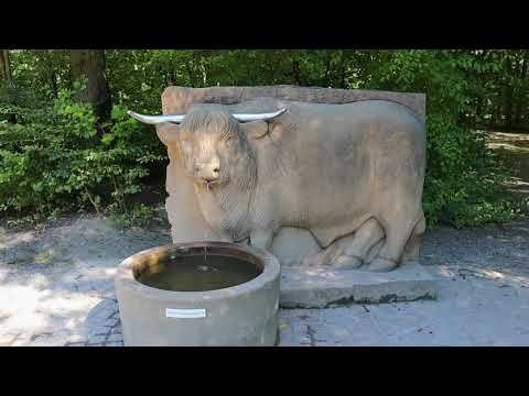 Wildpark Schweinfurt